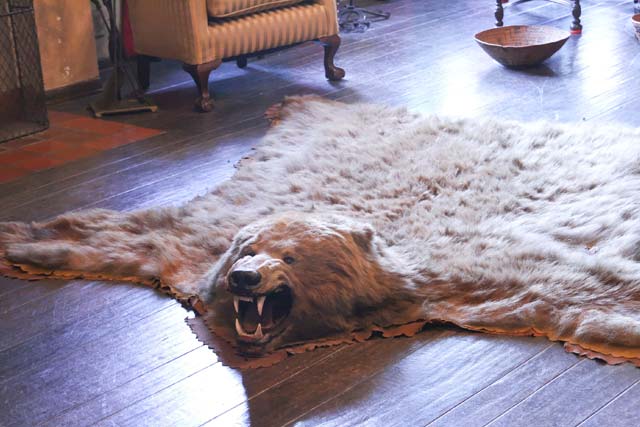 Using-Animal-Hide-Rugs-rustic-homes