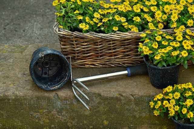 Hoe Best Gardening Tools