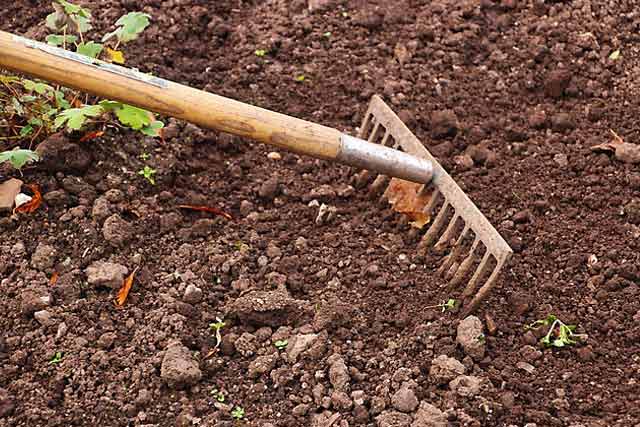 Rake for gardening