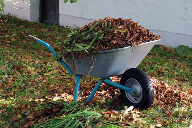 Wheelbarrow for Garden