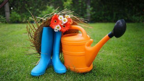 Best Gardening Tools