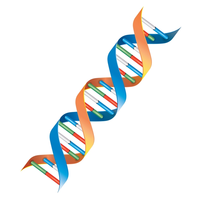 DNA Genes