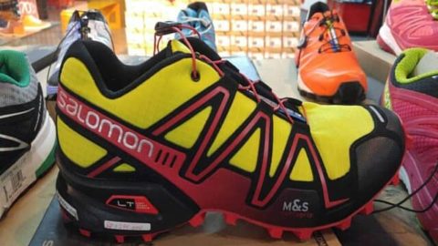 Salomon Brand