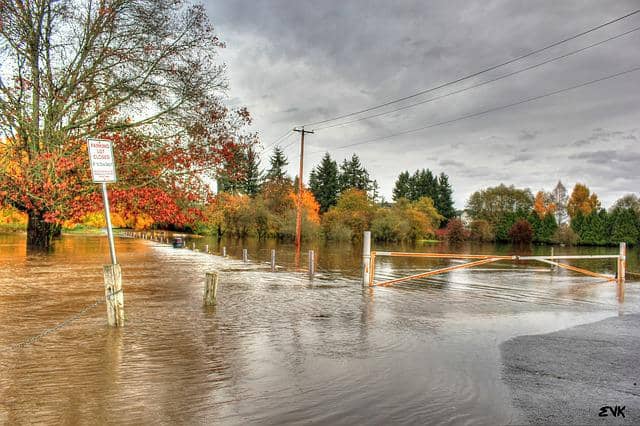 Areal Floods