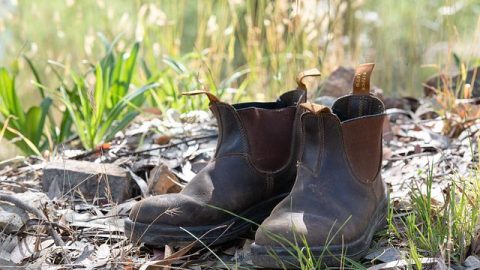 Blundstone Sizing