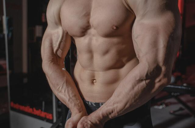 Oblique Muscles