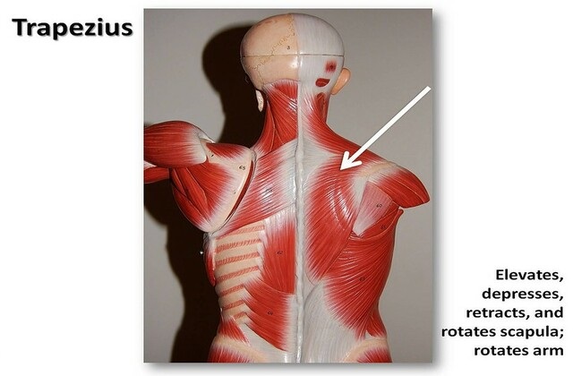 neck pain after running